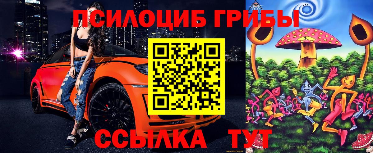 Мценск  Псилоцибиновые грибы мухоморы  Вход с VPN  Галлюциногенные грибы мицелий 