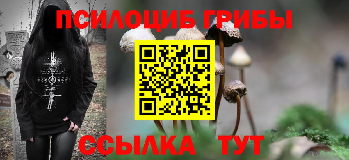 Галлюциногенные грибы мицелий Мценск